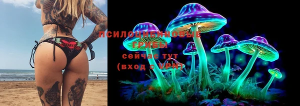 хмурый Белоозёрский