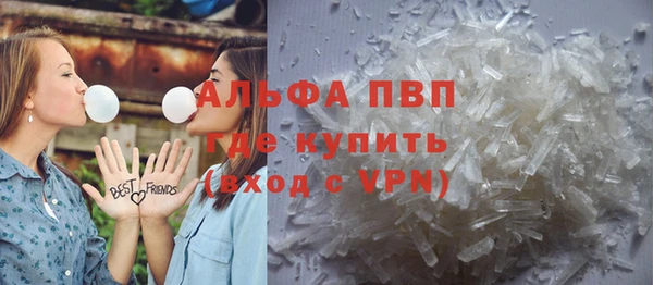 ПСИЛОЦИБИНОВЫЕ ГРИБЫ Инсар