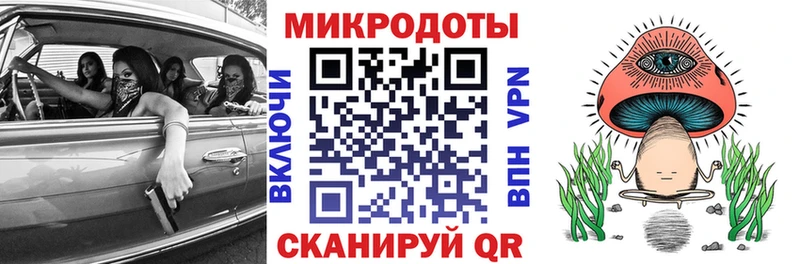 сколько стоит  Вязники  нарко площадка как зайти  Галлюциногенные грибы MAGIC MUSHROOMS 